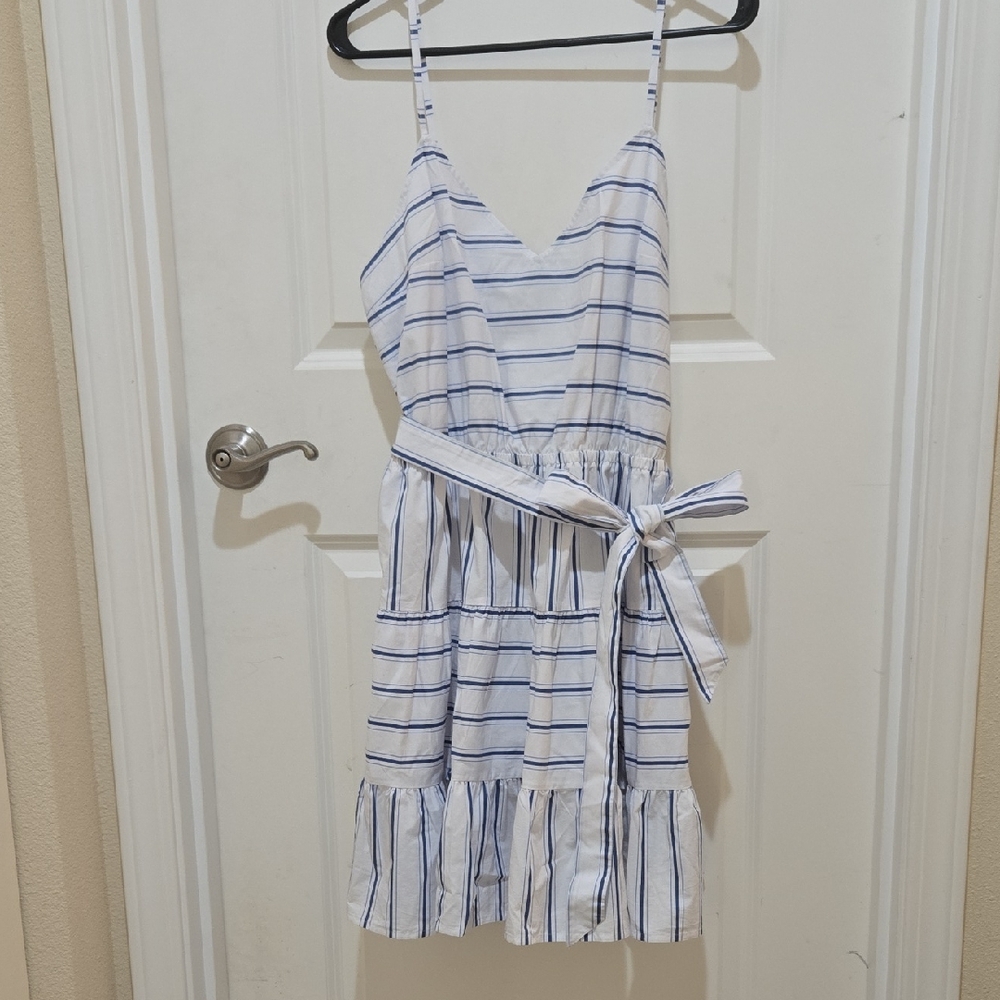 Express White and Blue Striped Dress